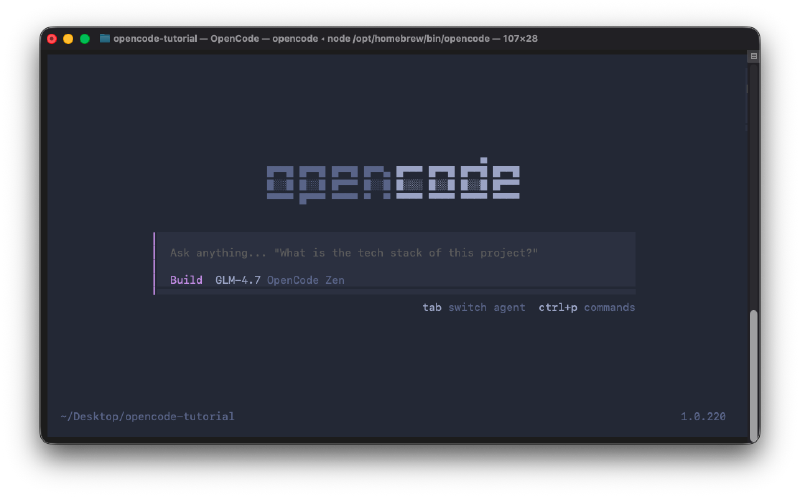 OpenCode Terminal Output